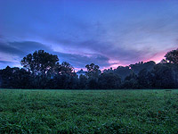 Hrub&yacute; Rohozec