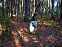 Nov&yacute; ��&aacute;r